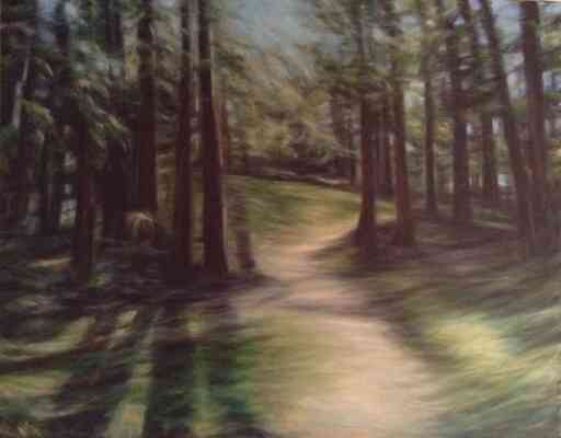 Forest Path Green